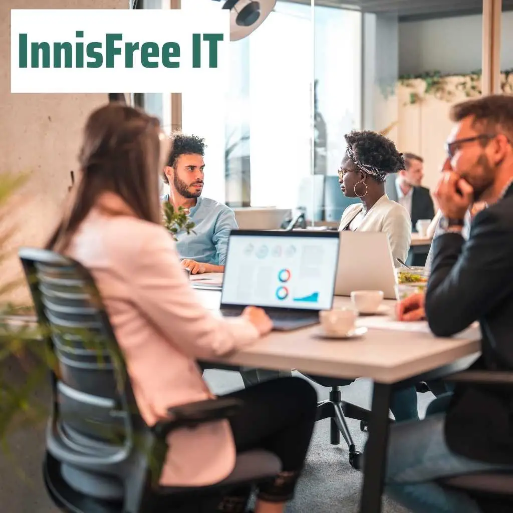 Innisfree-IT-Digital-Marketing-Agency